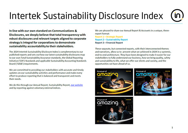 Sustainability Disclosure Index screenshot